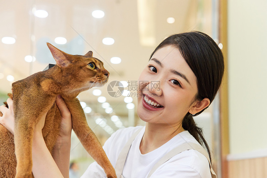 Cat Stylist(è������ʦ) ����è������ʦ��ѡ�빵ͨ����