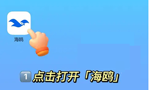 ��Ÿ����