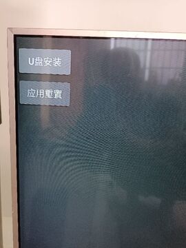 真果鉴TV版app U盘安装电视操作步骤实拍