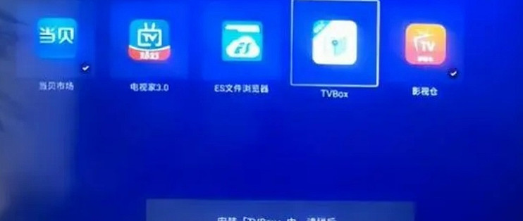 真果鉴TV版app安装避坑 电视应用安装界面截图