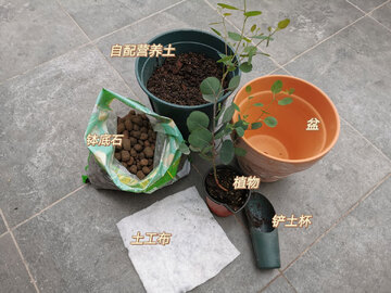 ֲ��� �����޼� �����������貽��