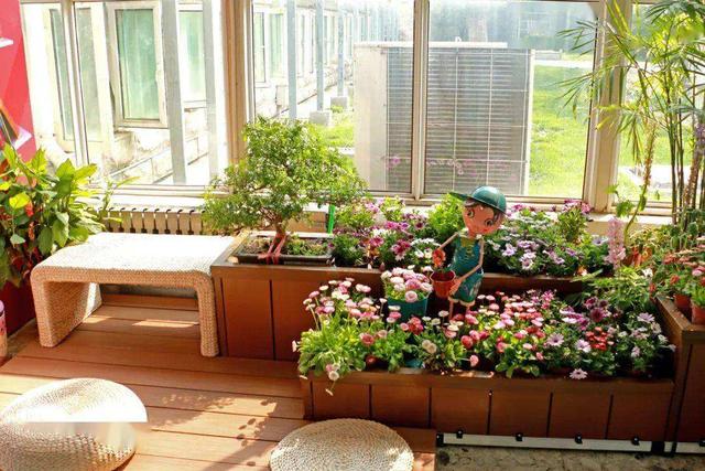植物君 养花光照通风 阳台摆放技巧