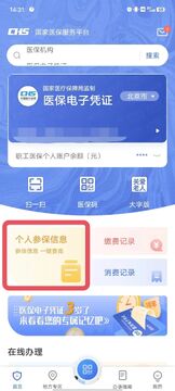 电子医保社保助手查询医保余额和缴费记录操作界面,概括全文查询流程与实用价值