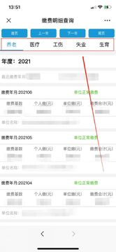 电子医保社保助手缴费记录查询列表展示每月缴费明细