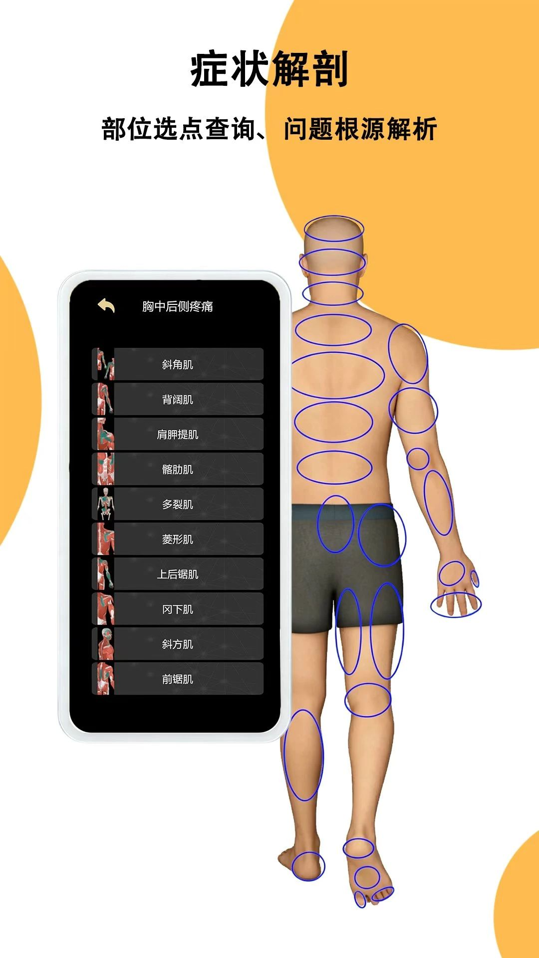 鑫傲然1.0.1 安卓版截图2