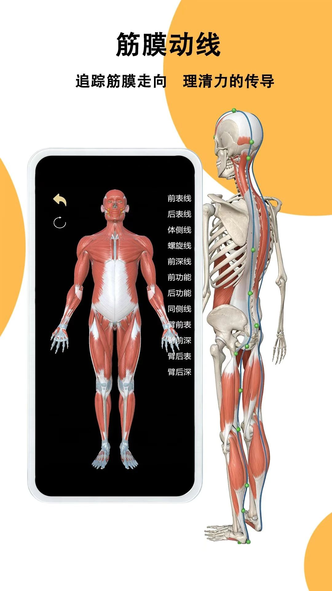 鑫傲然1.0.1 安卓版截图1
