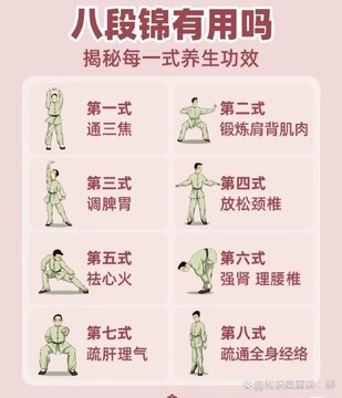 养生保健官方正版 适度运动保健八段锦日常锻炼配图