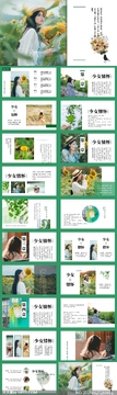 超美的少女情怀PPT模板 配色调整与版式修改实操示意