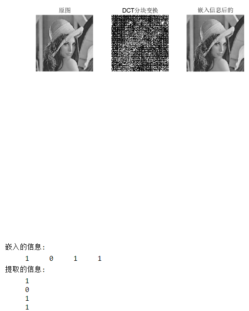 数字原创保护 图片视频水印与元数据设置技巧