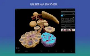 3D Human Anatomy Atlas Mac������ Visible Body����3D����ͼ�׽�ͼ2