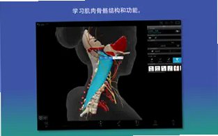 3D Human Anatomy Atlas Mac������ Visible Body����3D����ͼ�׽�ͼ3