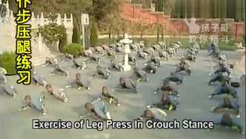 中国武术 新手每日基本功训练计划 压腿站桩冲拳配图