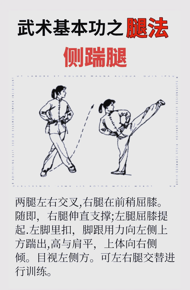 中国武术 正踢腿侧踢腿弹腿基本功训练配图