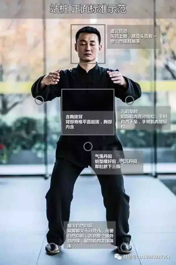 中国武术 马步桩站桩训练 新手练下盘配图