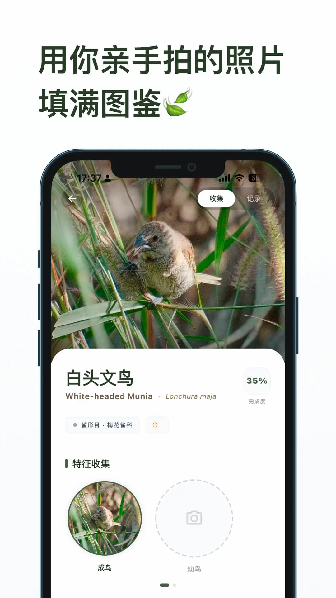数毛安卓版v1.9.5安卓版截图0