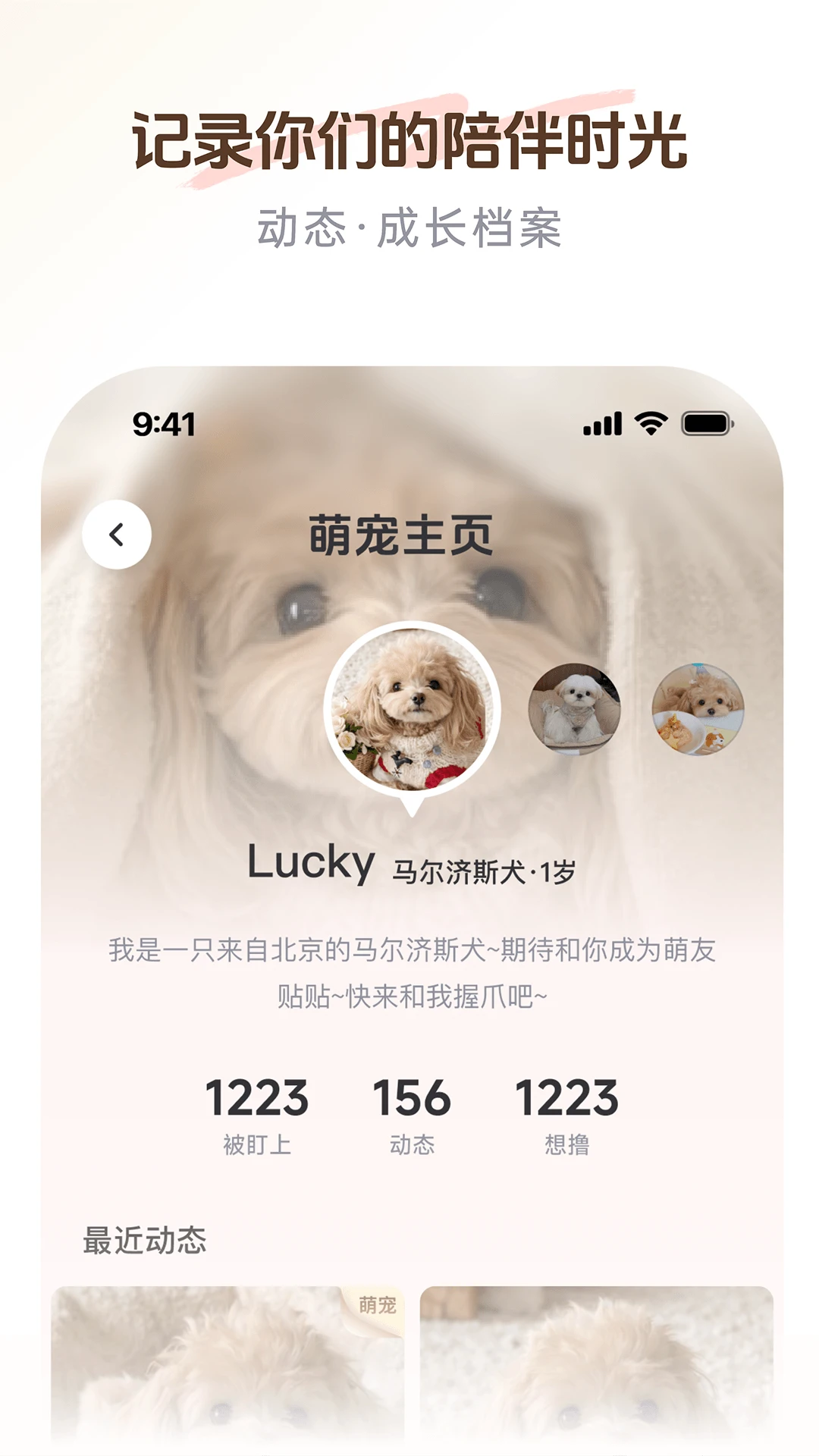 PetSpace官方正版2.5.1 安卓版截图3
