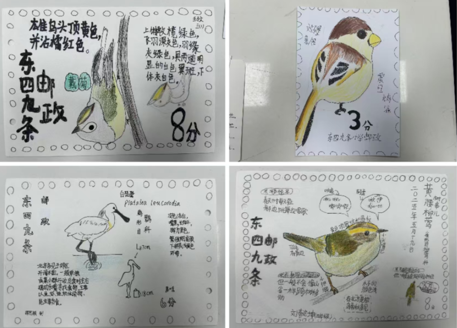 小鸟启程观鸟爱好者记录候鸟配图