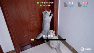 ������Ѱ�ٷ�����汾����˵����ͼ