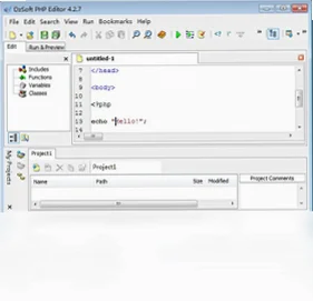 DzSoft PHP Editor(PHP代码编辑器)截图0