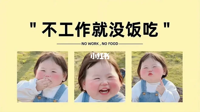 撕拉片相机官方正版 官方授权渠道辨别 店铺资质 序列号验真 售后保障