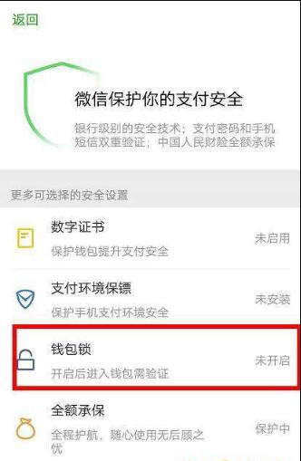 薇钱包安全设置与常见问题解答配图
