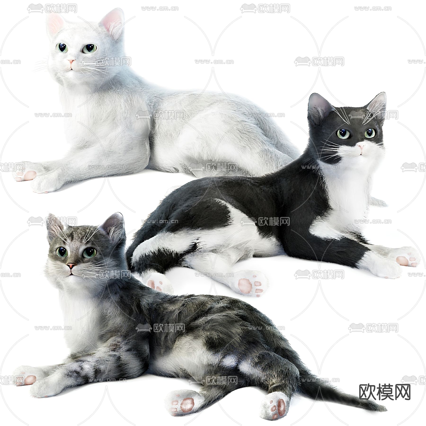 桌面宠物3D手机版 不同风格3D宠物在手机桌面的实际效果图