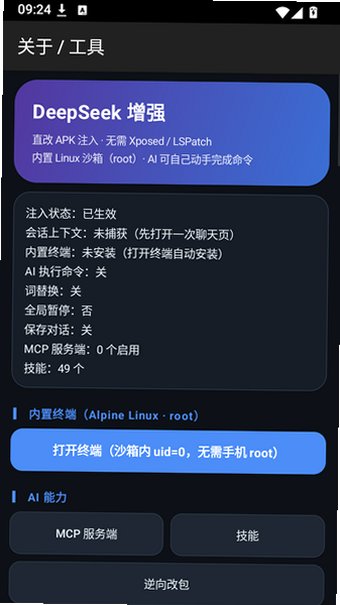 DeepSeek��ǿ��������Ѱ�v2.5.2��ͼ2