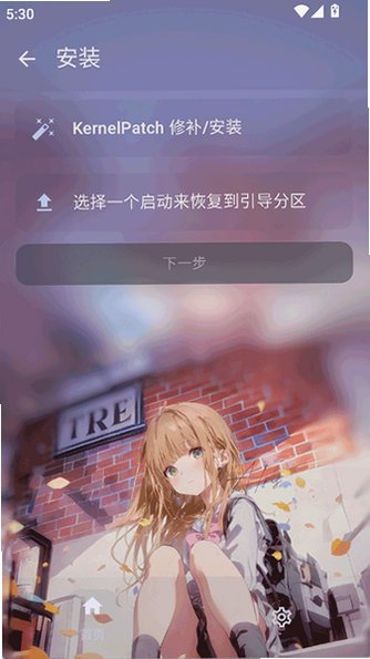 FolkPatch面具2026最新版va843c526安卓版截图3