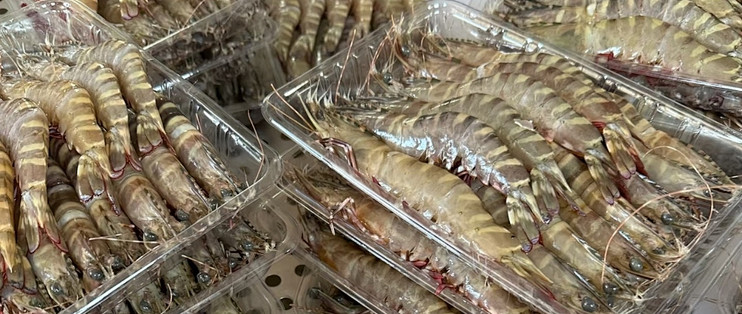 挪挪生鲜海鲜水产挑选看鱼眼虾壳技巧