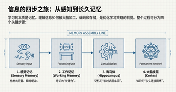 Hippocampus Core ����ظ�����ѵ��������ͼ