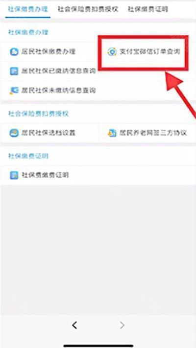 渝快办 社保缴费明细 参保状态 查询结果页面