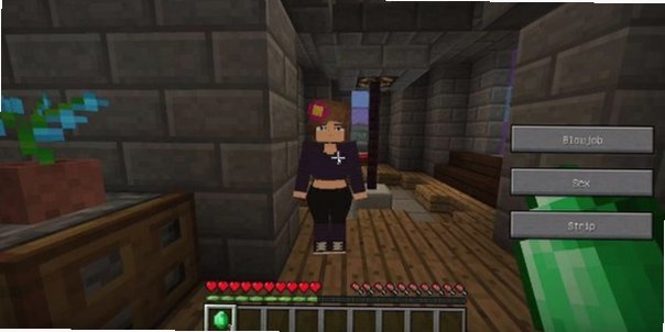 珍妮模组直装版(com.LuckyStudio666.JennyMod)v5.8手机版截图3