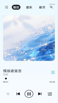 恒大音乐完整版内置音源版 在线听歌软件实测界面