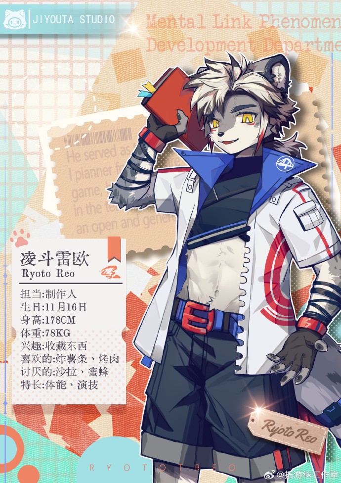 �������ӿ�����fvn