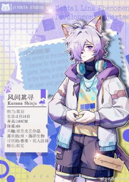 �������ӿ�����fvn