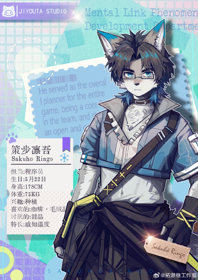 �������ӿ�����fvn