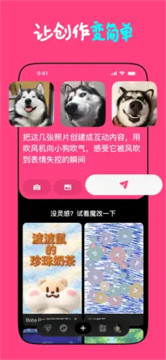 Loopit下载手机版2026最新版 Loopit下载手机版2026最新版