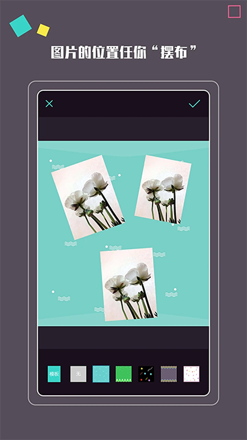 ��������������°汾