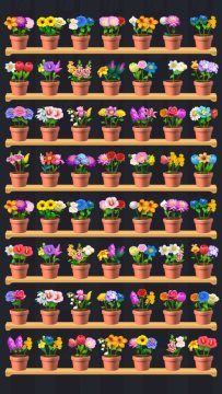 �廨������Ϸ�ٷ���