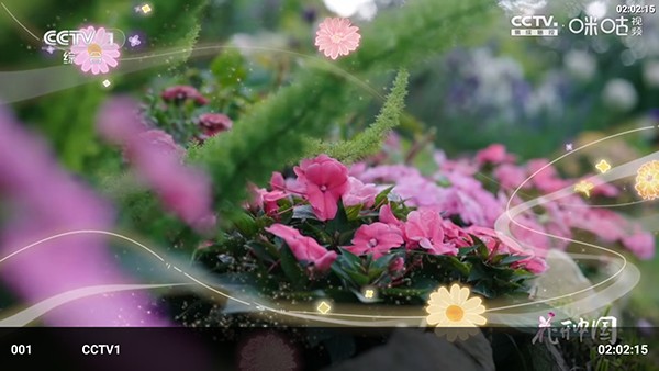 �����ӽ�TV���Ӱ����°汾v3.5.4��׿���ͼ2