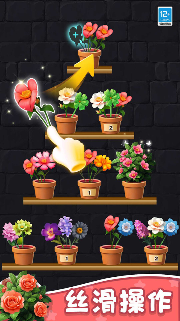 花儿朵朵消最新版1.0.5截图2