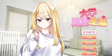 大学助教生活 大学助教生活