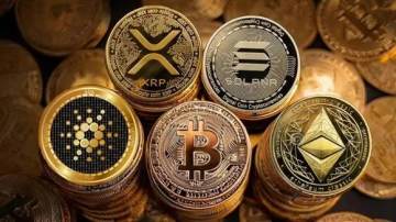 ���Թ�����رҵ�appƽ̨����Щ?�̵�ȫ��ʮ����رҽ�����