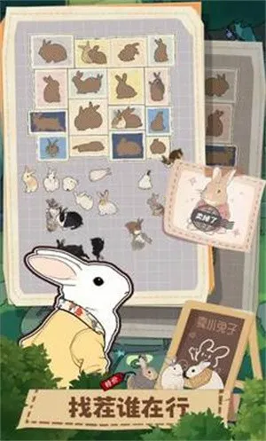 ����һ�������2026���°汾v1.1��ͼ3