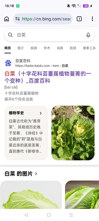 cromite��������°�׿��