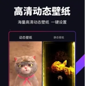 �˱�ֽ(��ֽӦ��)