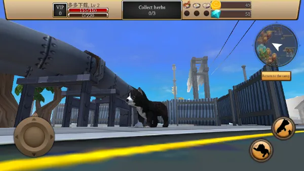 Dog Simulator Animal Life2026�ٷ����°汾v1.1.00��Ѱ��ͼ0