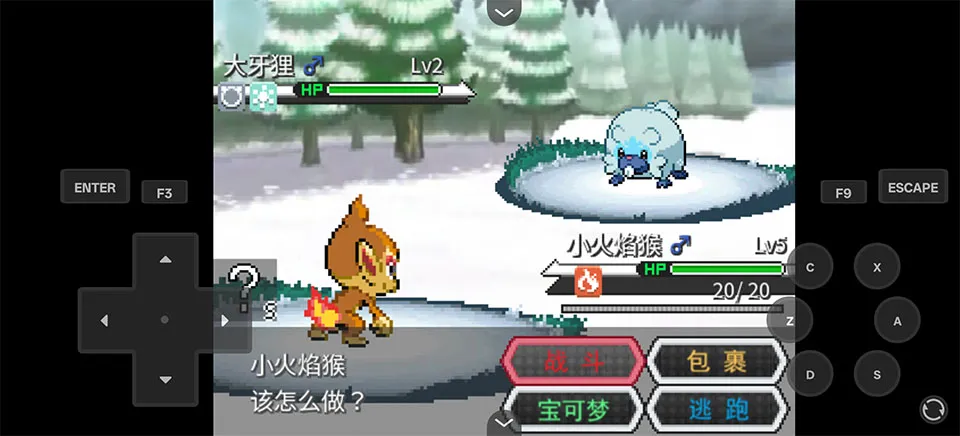 ������Z������(������Z��Ϸ)