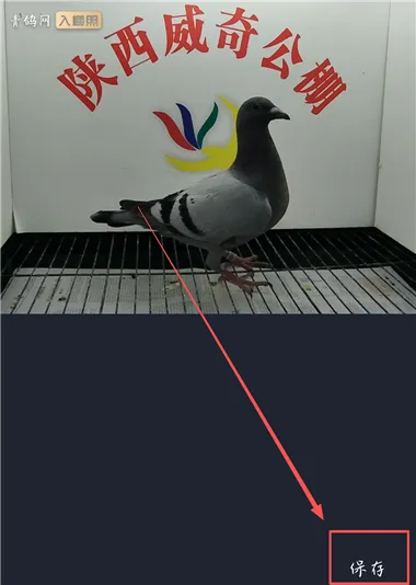 �����(������Ѷƽ̨)