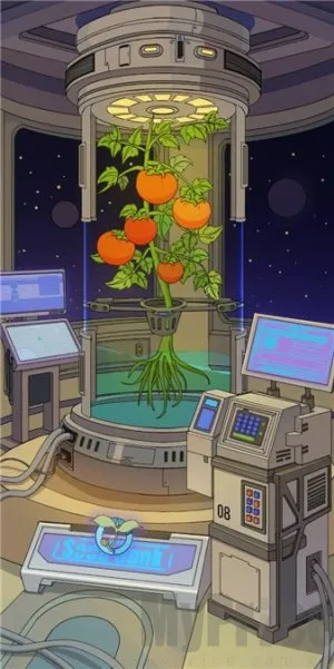 ����ũ������(̫��ũ��������Ϸ)